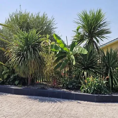 Villa Spacieuse Avec Piscine à Mios