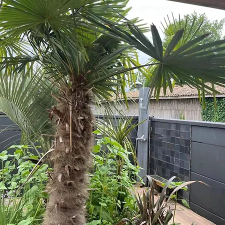 Villa Spacieuse Avec Piscine à
